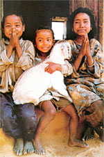 Kumari: The Living Goddess