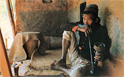 Homestay