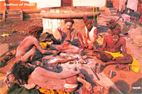 Sadhus From Nepal